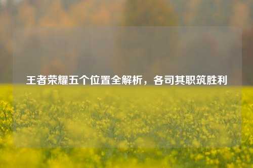 王者荣耀五个位置全解析，各司其职筑胜利