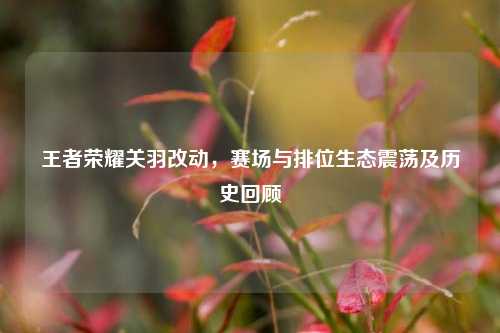 王者荣耀关羽改动，赛场与排位生态震荡及历史回顾