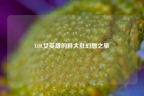 LOL女英雄的胖大肚幻想之旅
