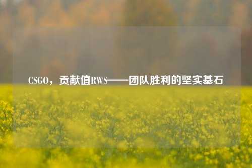 CSGO，贡献值RWS——团队胜利的坚实基石