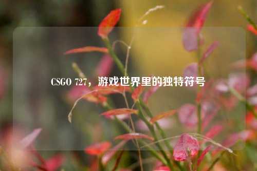 CSGO 727，游戏世界里的独特符号