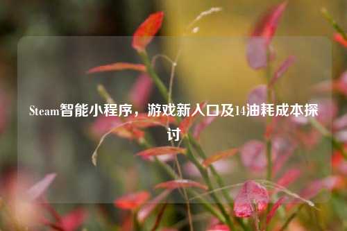 Steam智能小程序，游戏新入口及14油耗成本探讨