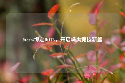 Steam绑定DOTA，开启畅爽竞技新篇