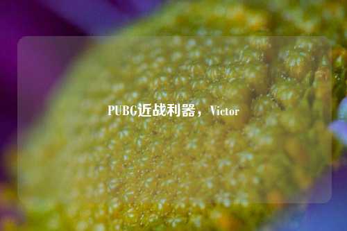 PUBG近战利器，Victor