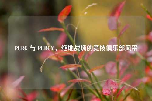 PUBG 与 PUBGM，绝地战场的竞技俱乐部风采