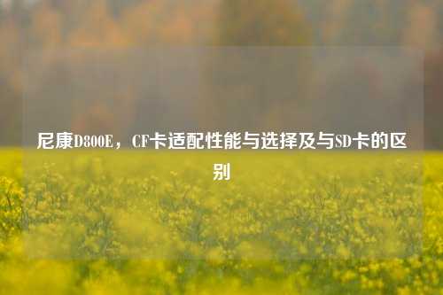 尼康D800E,CF卡适配性能与选择及与SD卡的区别