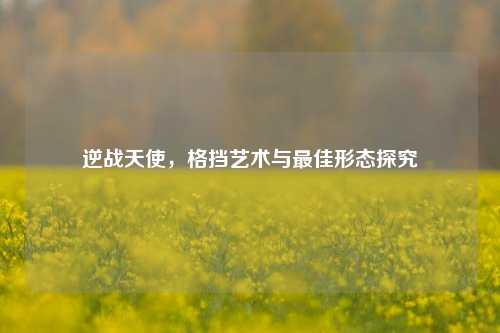 逆战天使，格挡艺术与最佳形态探究