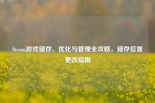 Steam游戏储存、优化与管理全攻略，储存位置更改指南