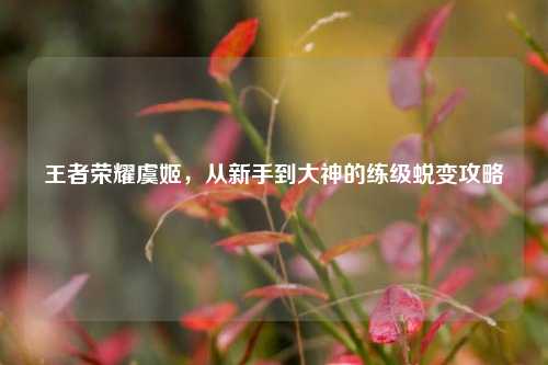 王者荣耀虞姬，从新手到大神的练级蜕变攻略