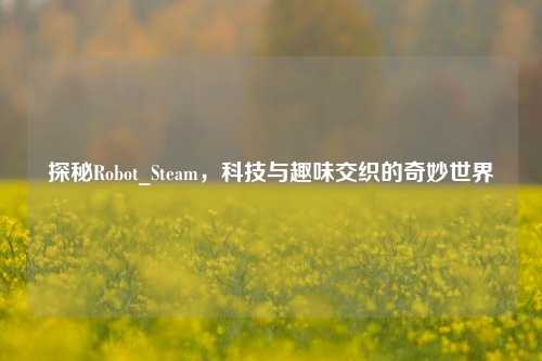 探秘Robot_Steam，科技与趣味交织的奇妙世界