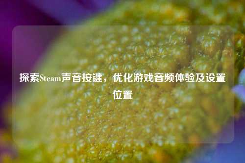 探索Steam声音按键，优化游戏音频体验及设置位置