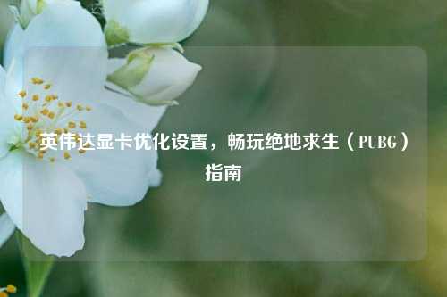 英伟达显卡优化设置，畅玩绝地求生（PUBG）指南