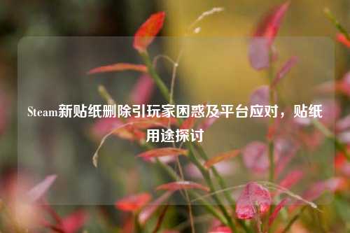 Steam新贴纸删除引玩家困惑及平台应对,贴纸用途探讨