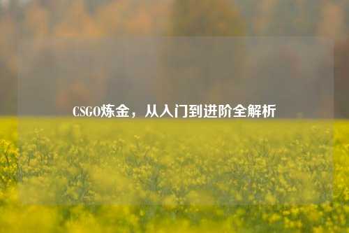 CSGO炼金，从入门到进阶全解析