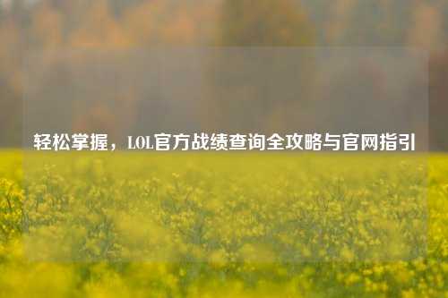 轻松掌握，LOL官方战绩查询全攻略与官网指引