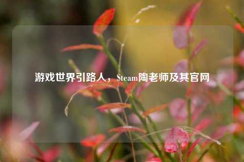 游戏世界引路人，Steam陶老师及其官网