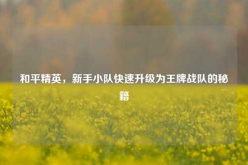 和平精英，新手小队快速升级为王牌战队的秘籍