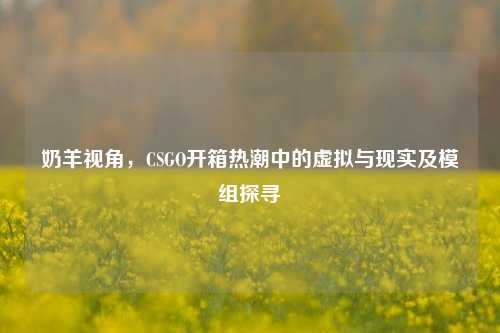 奶羊视角，CSGO开箱热潮中的虚拟与现实及模组探寻