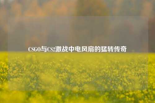CSGO与CS2激战中电风扇的猛转传奇