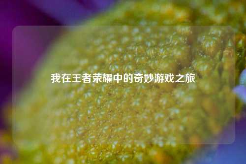 我在王者荣耀中的奇妙游戏之旅