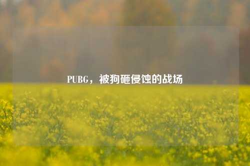PUBG，被狗砸侵蚀的战场