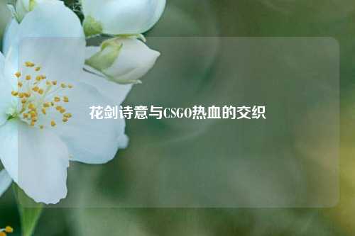 花剑诗意与CSGO热血的交织