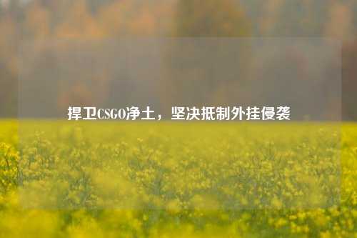 捍卫CSGO净土，坚决抵制外挂侵袭