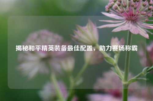 揭秘和平精英装备最佳配置，助力赛场称霸