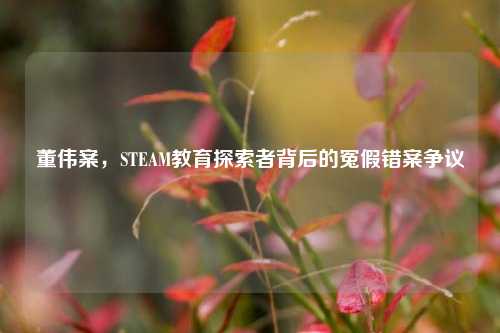 董伟案，STEAM教育探索者背后的冤假错案争议