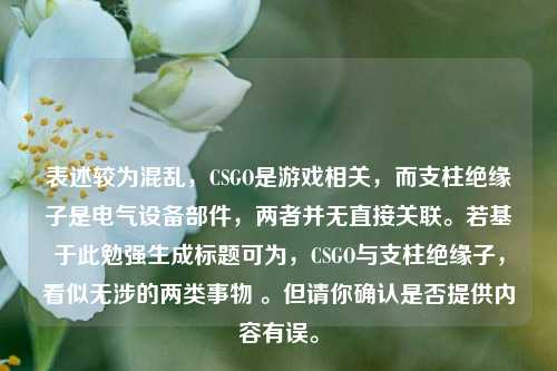 表述较为混乱，CSGO是游戏相关，而支柱绝缘子是电气设备部件，两者并无直接关联。若基于此勉强生成标题可为，CSGO与支柱绝缘子，看似无涉的两类事物 。但请你确认是否提供内容有误。