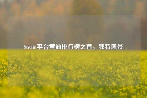 Steam平台黄油排行榜之首，独特风景