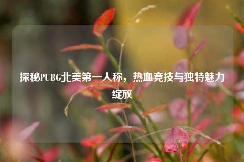 探秘PUBG北美第一人称，热血竞技与独特魅力绽放