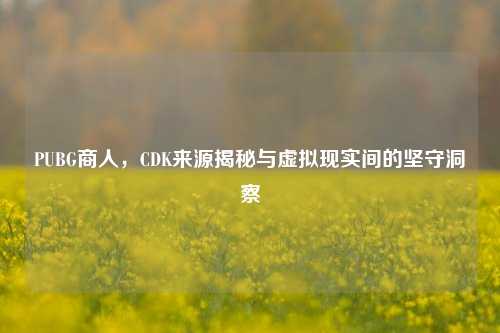 PUBG商人，CDK来源揭秘与虚拟现实间的坚守洞察
