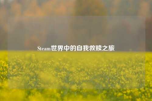 Steam世界中的自我救赎之旅