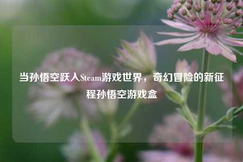 当孙悟空跃入Steam游戏世界，奇幻冒险的新征程孙悟空游戏盒