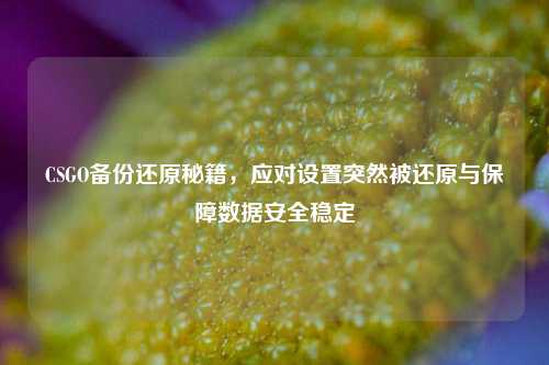 CSGO备份还原秘籍，应对设置突然被还原与保障数据安全稳定