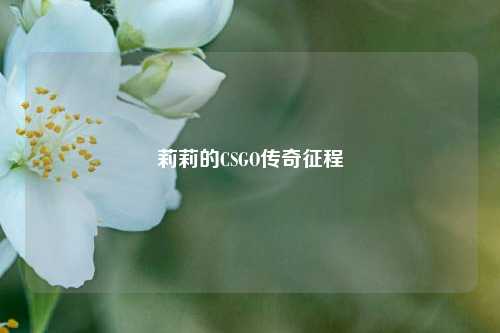 莉莉的CSGO传奇征程