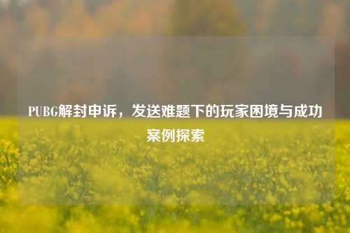 PUBG解封申诉，发送难题下的玩家困境与成功案例探索