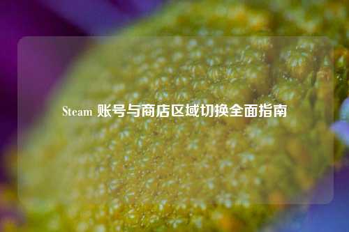 Steam 账号与商店区域切换全面指南