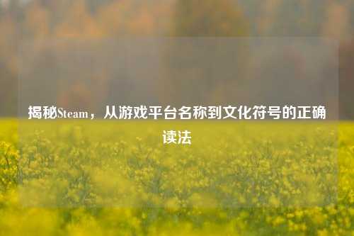 揭秘Steam，从游戏平台名称到文化符号的正确读法