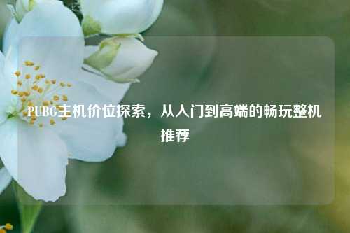 PUBG主机价位探索，从入门到高端的畅玩整机推荐