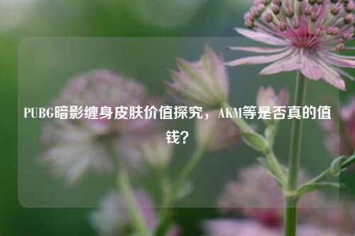 PUBG暗影缠身皮肤价值探究，AKM等是否真的值钱？