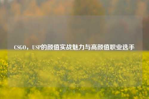 CSGO，USP的颜值实战魅力与高颜值职业选手