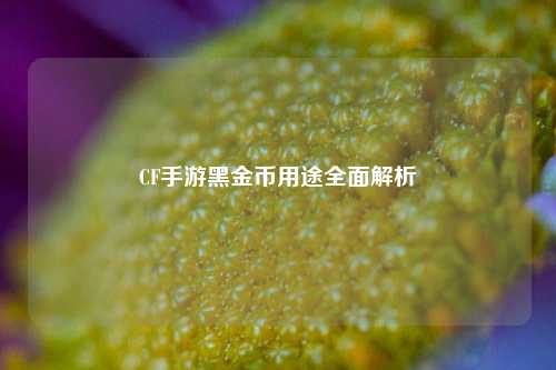 CF手游黑金币用途全面解析