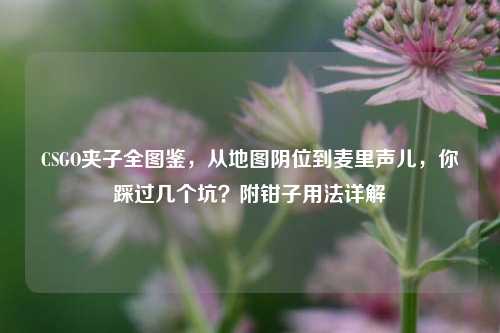 CSGO夹子全图鉴，从地图阴位到麦里声儿，你踩过几个坑？附钳子用法详解
