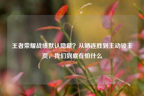 王者荣耀战绩默认隐藏？从晒连胜到主动锁主页，我们到底在怕什么