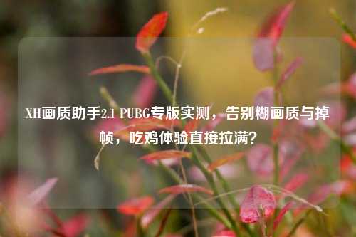 XH画质助手2.1 PUBG专版实测，告别糊画质与掉帧，吃鸡体验直接拉满？