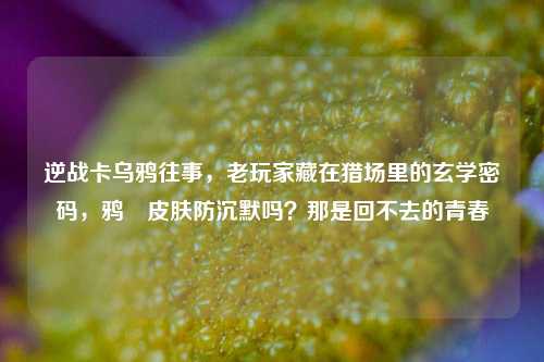 逆战卡乌鸦往事，老玩家藏在猎场里的玄学密码，鸦曈皮肤防沉默吗？那是回不去的青春