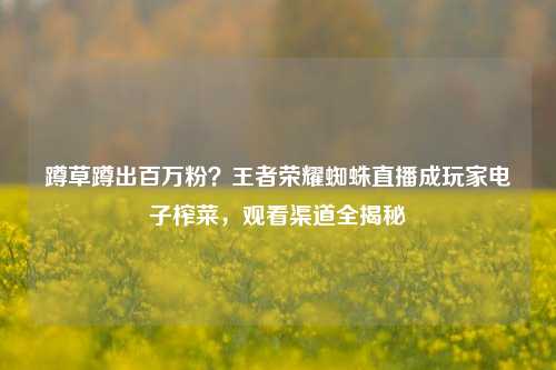 蹲草蹲出百万粉？王者荣耀蜘蛛直播成玩家电子榨菜，观看渠道全揭秘