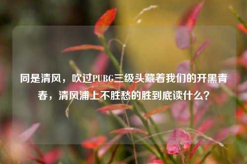 同是清风，吹过PUBG三级头藏着我们的开黑青春，清风浦上不胜愁的胜到底读什么？